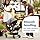 Graco Gomax Next Gen Travel System: Lightweight Infant Car Seat & Compact Stroller